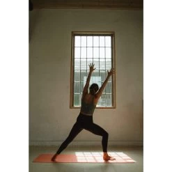 Blackroll MAT GYMBAG GT - Yogamatte -Freien Camping Geschäft 5637896171 h mat gt plus gymbag blackroll 24