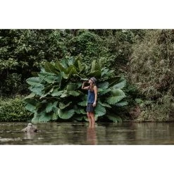 Grayl GEOPRESS PURIFIER - Trinkwasserfilter -Freien Camping Geschäft 5637917282 f geopress purifier grayl 24